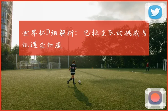 世界杯D组解析：巴拉圭队的挑战与机遇全知道