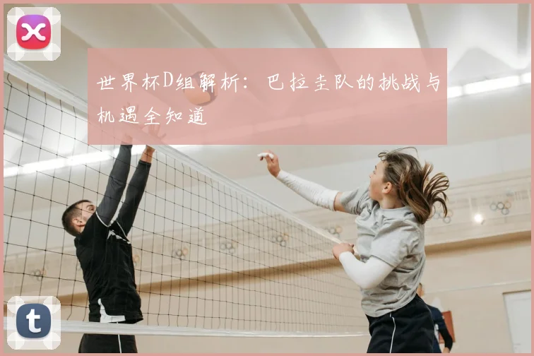 世界杯D组解析：巴拉圭队的挑战与机遇全知道
